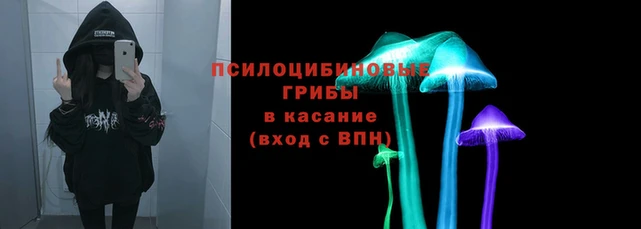 a pvp Белокуриха