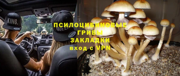 винт Балахна