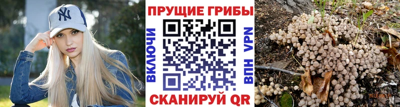 Галлюциногенные грибы мухоморы  цены наркотик  Невьянск 